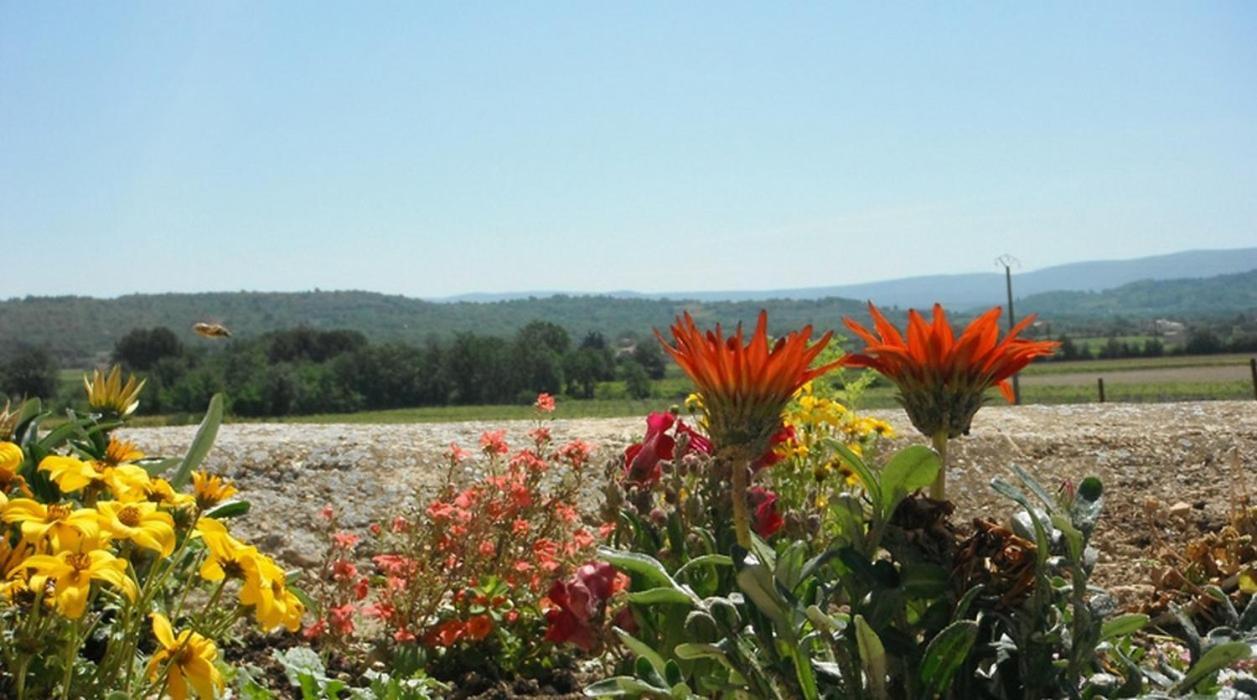 Le Temps D'Un Reve Villa Mazan Dış mekan fotoğraf